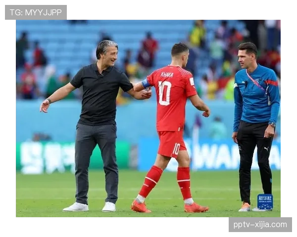 B组瑞士波黑争夺直接出线权 卡塔尔或成小组赛送分童子